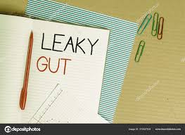 writing note showing leaky gut business photo showcasing a