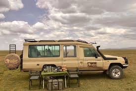 Lovebird Safaris Limited (2025)