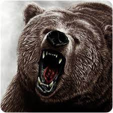 Bing hd wallpaper jun 13, 2021: Bear Wallpapers Ultra Beziehen Microsoft Store De De