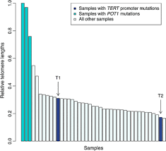 (55) 55 56 23 43 31 ext. Germline Tert Promoter Mutations Are Rare In Familial Melanoma Springerlink