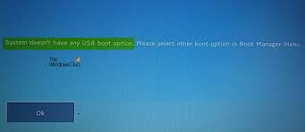 System Doesn T Have Any Usb Boot Option Error In Windows 10