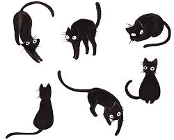 Most animes have cats that appear randomly. Anime Kawaii Cute Cat Drawings Anime Wallpapers