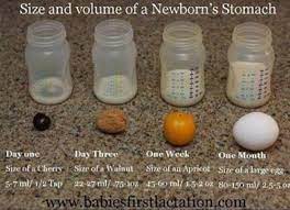 The Newborn S Stomach New Baby Products Baby Life Hacks Baby Feeding