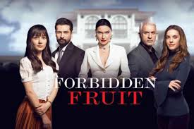 Anticipazioni Forbidden Fruit: come sta Alihan, tutti sconvolti -  Dailybest.it