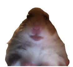 Meme Hamster Hamstermeme Sticker By Raininavada
