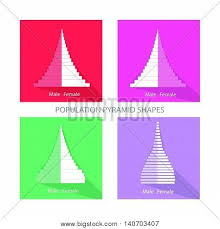Three basic types of population pyramids show how different trends are displayed. Population Demography Vector Photo Free Trial Bigstock