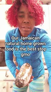 The GMO is killing us