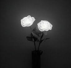 Rose Flowers And Light Image Black Aesthetic Black And White Aesthetic White Aesthetic