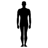 Parts of the body (internal). 1