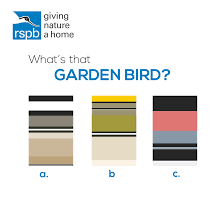 Let's see what you know about the biggest, smallest, best, and most vibrant birds of the world, though, with this bumper crop of interesting bird trivia questions and answers. Bird Block Quiz Quiz Questions And Answers