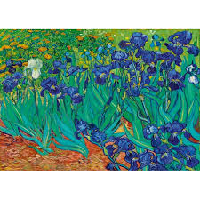 3.3 out of 5 stars. Puzzle Vincent Van Gogh Irises 1889 1000 Pieces Art By Bluebird Puzzle 60006