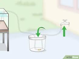 Barrels, it helps to be able to siphon the water out with a garden hose. 3 Ways To Siphon Water Wikihow