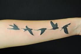 Bird Tattoos On Arm For Men Pin Von Emily Gerrard Auf Tattoos Vogel Tattoo Tatowierungen Tattoos Arm Mann