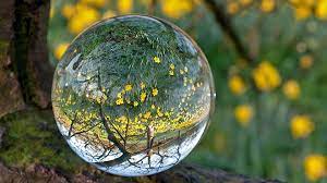 101+ motivational whatsapp dp for whatsapp profile picture. Inverted Flowers Glass Marbles Wallpaper Nature Dp For Whatsapp 1920x1080 Wallpaper Teahub Io