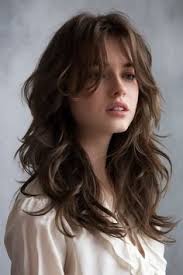 Butterfly Haircut 2c Hair