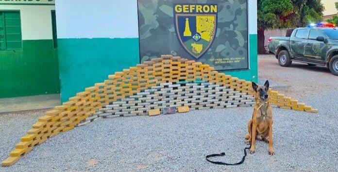 C&atilde;o farejador localiza malas com R$ 5,5 milh&otilde;es em drogas dentro de caminh&atilde;o em MT - S&oacute; Not&iacute;cias