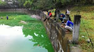 Bendungan Ini Jadi Tempat Favorit Warga Memancing Tribun Kaltim