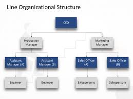 Line Organization Structure Powerpoint Organizational