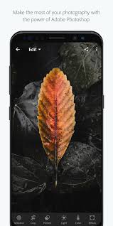 Everything to know about the apple silicon m1 chip apple fitness+ and peloton offe. Adobe Photoshop Lightroom Cc 6 4 0 Apk Download Android Photography Apps