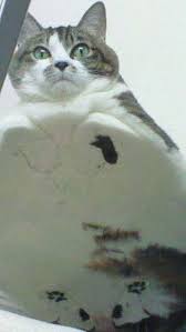 Pin On Humor Rated R