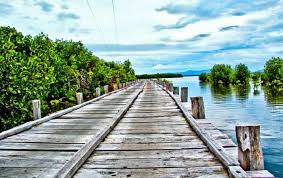 Salah satu yang populer ialah air terjun blangsinga. 10 Tujuan Wisata Di Pulau Seram Terpopuler Tokopedia Blog