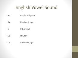 This chart shows the most common applications of the international phonetic alphabet (ipa) to represent english language pronunciations. International Phonetic Alphabets Ipa Powerpoint Slides