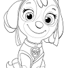 Con estos dibujos para colorear de los héroes en pijama, los niños podrán obtener muchas ventajas a la vez que dan rienda suelta a su creatividad pintando a si estabas buscando dibujos de los héroes en pijama para colorear, has llegado al sitio web valentísimo. Https Encrypted Tbn0 Gstatic Com Images Q Tbn And9gcsvdotq9s8xjrq92llkeloef7pldgf13qyq 4exzda2ymh4m3oy Usqp Cau