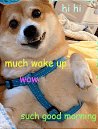 A new meme has popped up that might over take doge as the internet's favorite dog. Doge Meme Gifs Wifflegif