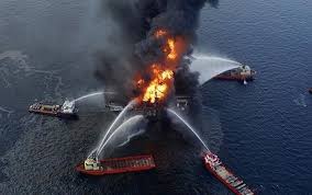 Report: Wildlife Still Feeling Impact from BP Oil Spill | WUSF News