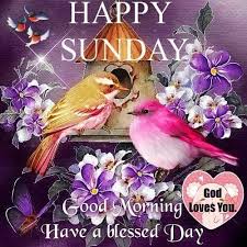 Embedded within this day are uncountable blessing for the lord's chosen good morning, my dearest friend. Happy Sunday Have A Blessed Day Quotes Happy Sunday Good Morning Have A Blessed Day Good Morning Happy Dogtrainingobedienceschool Com