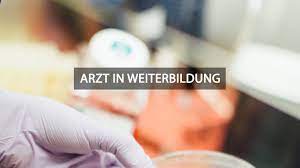 Check spelling or type a new query. Arzt In Weiterbildung Alle Infos Zur Arztlichen Ausbildung