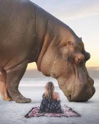 Giant Animals And Tiny Humans Breathtaking Surreal Photo Manipulations By Eben Mccrimmon Giant Animals Surreal Photo Manipulation Photo Manipulation