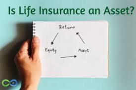 There must be a known maturity date for the asset so the timing of the asset and liability can be matched. Is Life Insurance An Asset Why It May Be The Most Important Asset You Own