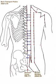 20 Described Acupuncture Alarm Points Chart