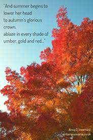 Gracefully Summer Lowers Her Head Write My Universe Summer Poems Autumn Poetry Autumn Photography