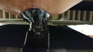 アナルプラグ排出 産卵みたい - Pornhub.com