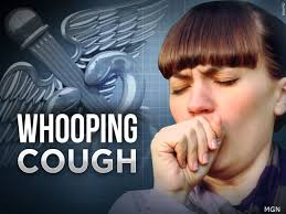 Whooping cough cases more than 3 times higher than last year in return to  pre-pandemic level