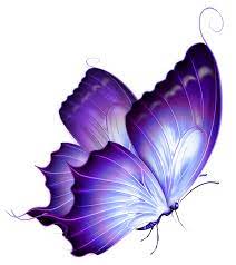 Pin By Nguyen Thanh On Butterflies Psp Butterfly Watercolor Butterfly Drawing Butterfly Art Painting