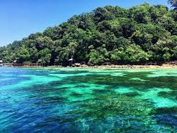 Both langkawi itself and many of the islands within range of langkawi have lots of shallow coral that makes for excellent snorkelling. Nothing To See During Snorkeling Review Of Pulau Payar Marine Park Langkawi Malaysia Tripadvisor