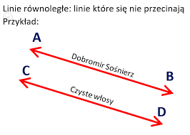 Dobromir sośnierz z konfederacji zabiera głos po przepychankach … Czy Sosnierz Juz Umyl Wlosy Dobromirpls Twitter