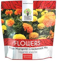 After the 400 mm predominantly winter rains, the essence of the area is captured when an array of spring flowers burst into colour, changing the. Marigold Online Store South Africa Wantitall