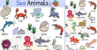 Sea Animals Water Ocean Sea Animal Names With Images 7