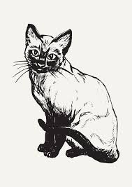 Pin By Noel Morris On Prints And Posters Cat Coloring Page Black And White Artwork Animal Icon