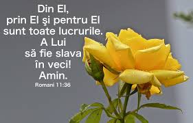 Adoram sunny leul din iuda spune mi cine un drum nou. Romani 11 36 Din El Prin El Versete Biblice Si Flori Facebook