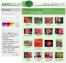 Mijns Inziens Plantwire Bloemen En Planten Zoeken Op Kleur