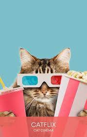 Depois só procurar o filme completo. Catflix Cat Cinema Catmosphere
