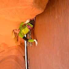 A powerful queen who vis. Stream Episode Pamela Shanti Pack The Queen Of Offwidth Climbing By Dan Goodwin Podcast Listen Online For Free On Soundcloud