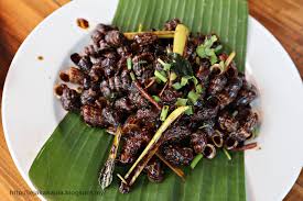 Mereka inilah yang mencadangkan agar cuba makan di sini, memang menarik! Restoran Johor Riau Pontian Johor Terbaik Jejakakaula