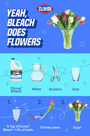 We did not find results for: Yeah Clorox Bleach Does That Preserves Flowers Useful Life Hacks Diy Life Hacks Cleaning Hacks
