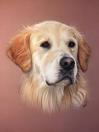 Goldenretriever Art Art A Theme Chien Peintures De Chien Art De Golden Retriever
